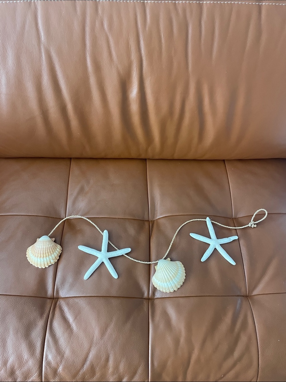 Shell Decor
